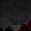 IMG_0424