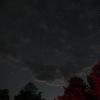 IMG_0425